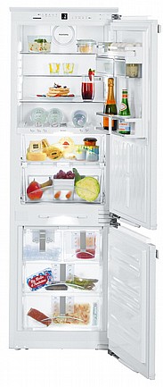 ���� �������� ����� ����� ����� ��� ICBN3386