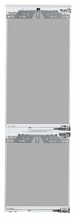 ���� �������� ����� ����� ����� ��� ICBN3386