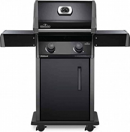 ���� �� ��� ������ NAPOLEON ��� ROGUE R365PK