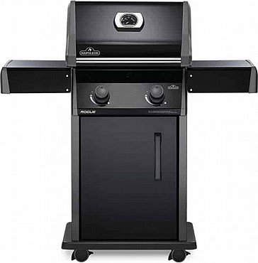 ���� �� ��� ������ NAPOLEON ��� ROGUE R365PK