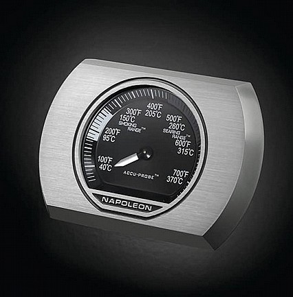 ���� �� ��� ������ NAPOLEON ��� ROGUE R365PK