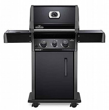 ���� �� ��� ������ NAPOLEON ��� R365SBPK-1