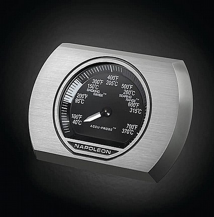 ���� �� ����� ������ NAPOLEON ��� ROGUE SE 425 ����
