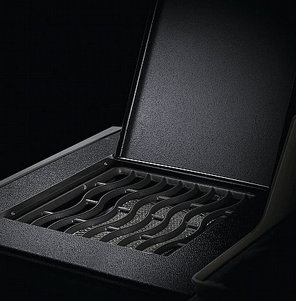 ���� �� ����� ������ NAPOLEON ��� ROGUE XT 425SIB �������