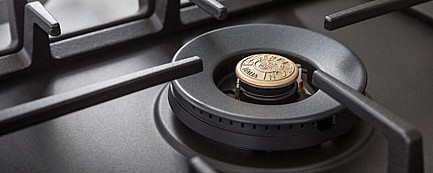 ������ �� Bertazzoni ��� P905LPRONE
