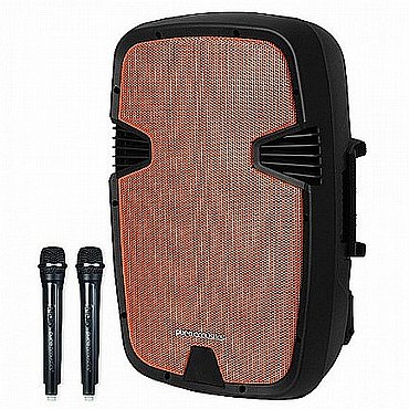 ������� ������ ����� 15� �� 2 ����������  PURE ACOUSTICS ��� PMW3015