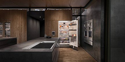  ����� ��������� ����� Gaggenau ��� RF461305