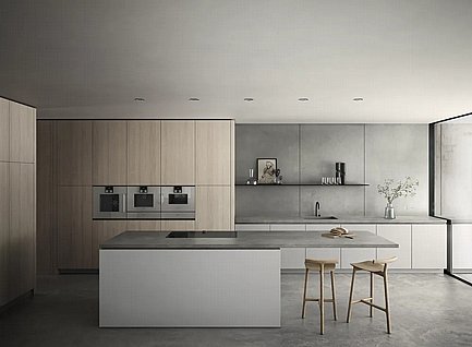 ���� ���� ����� GAGGENAU ��� BSP270111