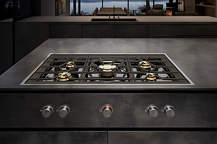 ������ �� ����� Gaggenau ��� CG492111F 