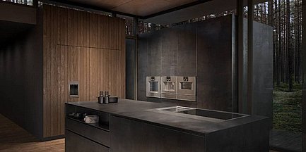 ������ ��������� ����� GAGGENAU ��� CX492101