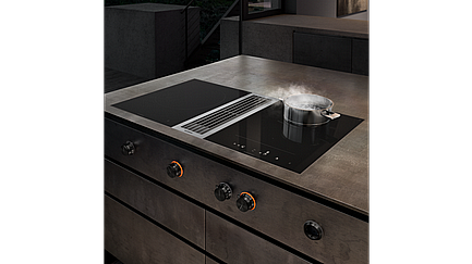 ������ ��������� ������ ����� GAGGENAU ��� VI422105