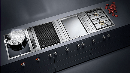 ������ ���� ���� ������ ����� GAGGENAU ��� VP414115