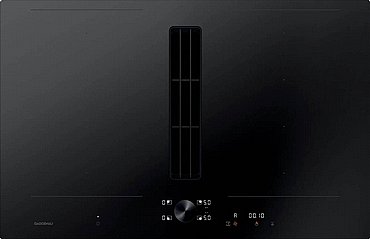 ������ ��������� ����� ���� ����� GAGGENAU ��� CV282101
