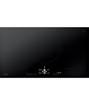 ������ ��������� ����� GAGGENAU ��� CI292102