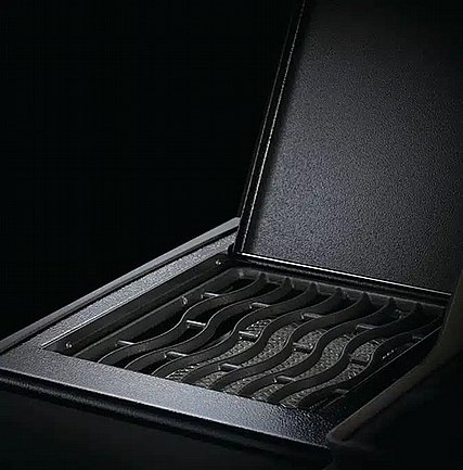���� �� ��� ������ NAPOLEON ��� ROGUE XT 365SIB IL �� ���� �� ������ ����